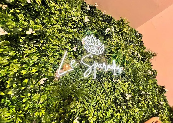 Sparadis Couette-café Amiens